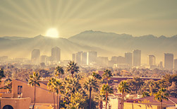 Mrs green online casino