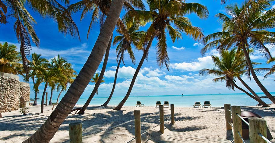 Traumstrände bei Key West Key West USA Badeferien Palmen Strand