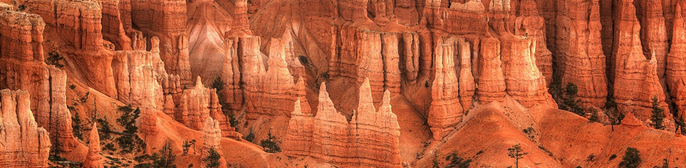 Bryce Canyon Reisen